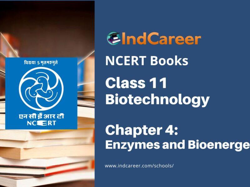 NCERT Book for Class 11 Biotechnology Chapter 4 Enzymes and Bioenergetics