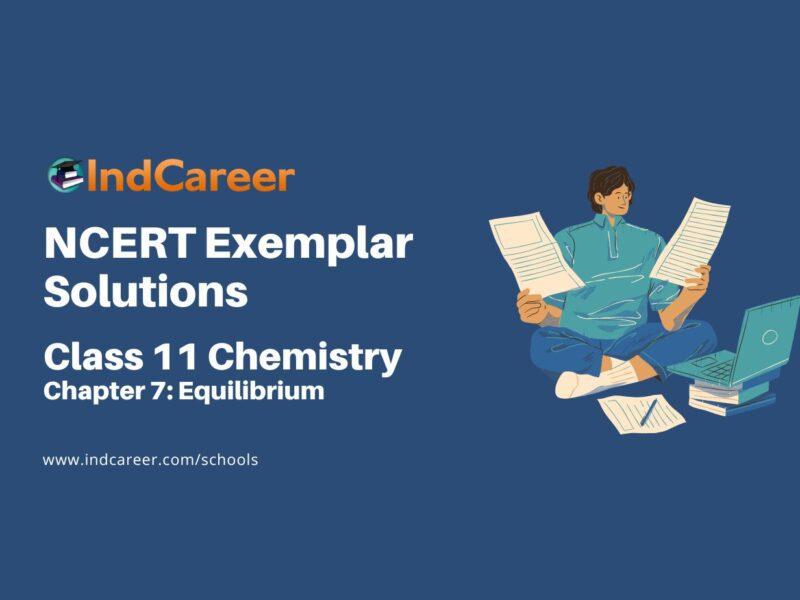 NCERT Exemplar Class 11 Chemistry Chapter 7: Equilibrium