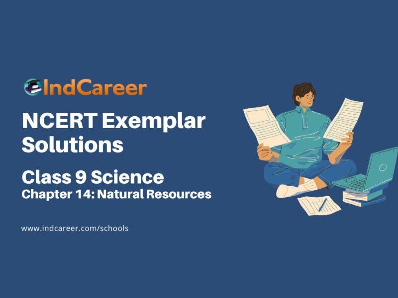 NCERT Exemplar Class 9 Science Chapter 14: Natural Resources