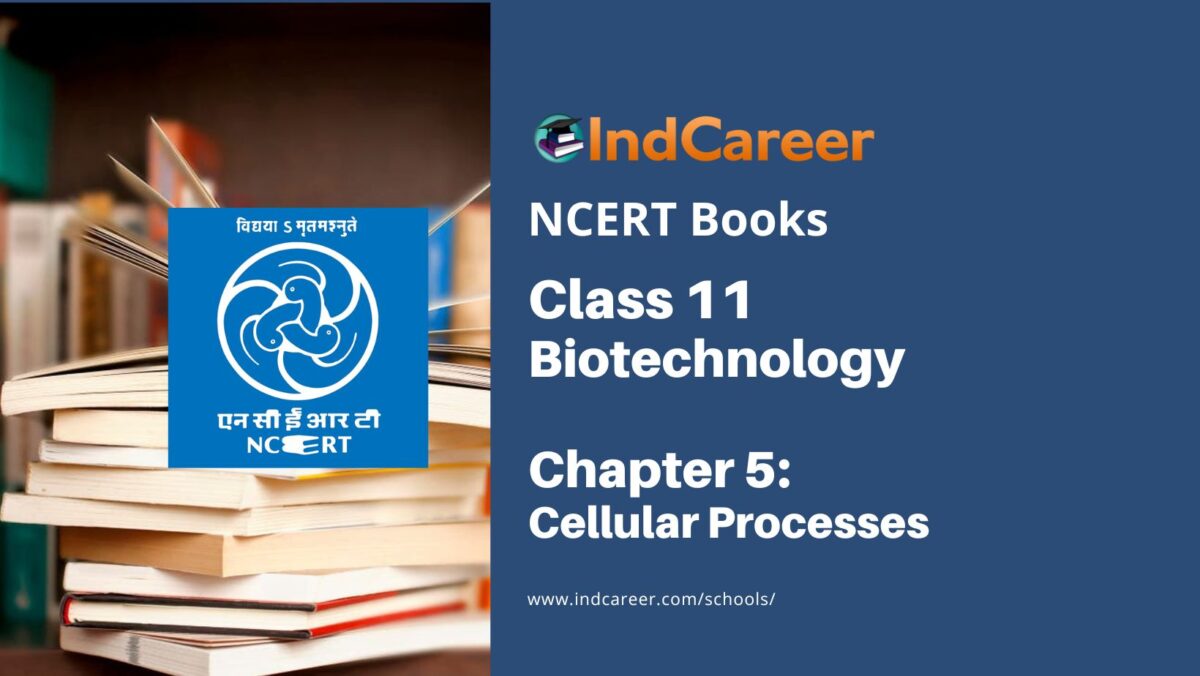NCERT Book for Class 11 Biotechnology Chapter 5 Cellular Processes