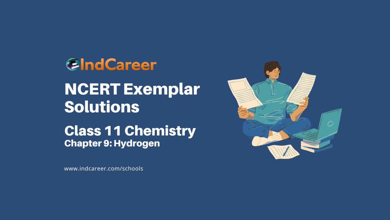 NCERT Exemplar Class 11 Chemistry Chapter 9: Hydrogen