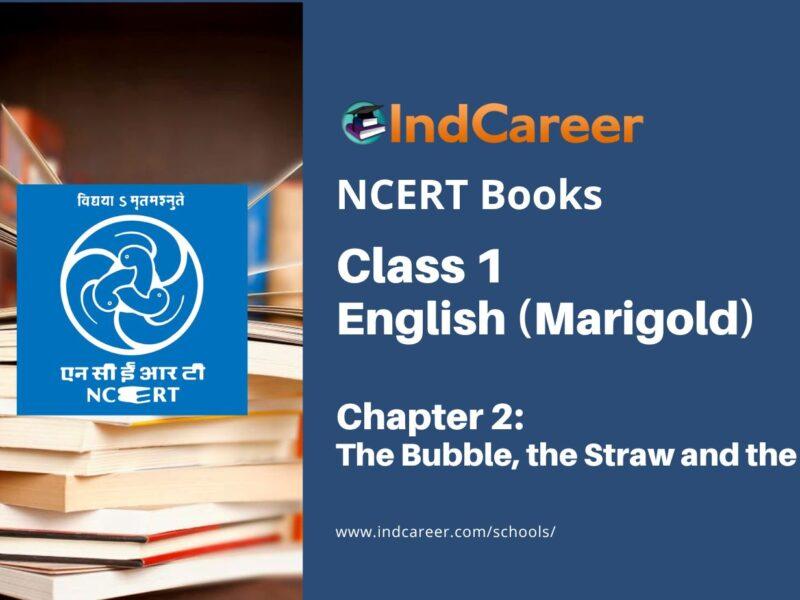 NCERT Book for Class 1 English (Marigold): Unit 2- The Bubble, the Straw and the Shoe