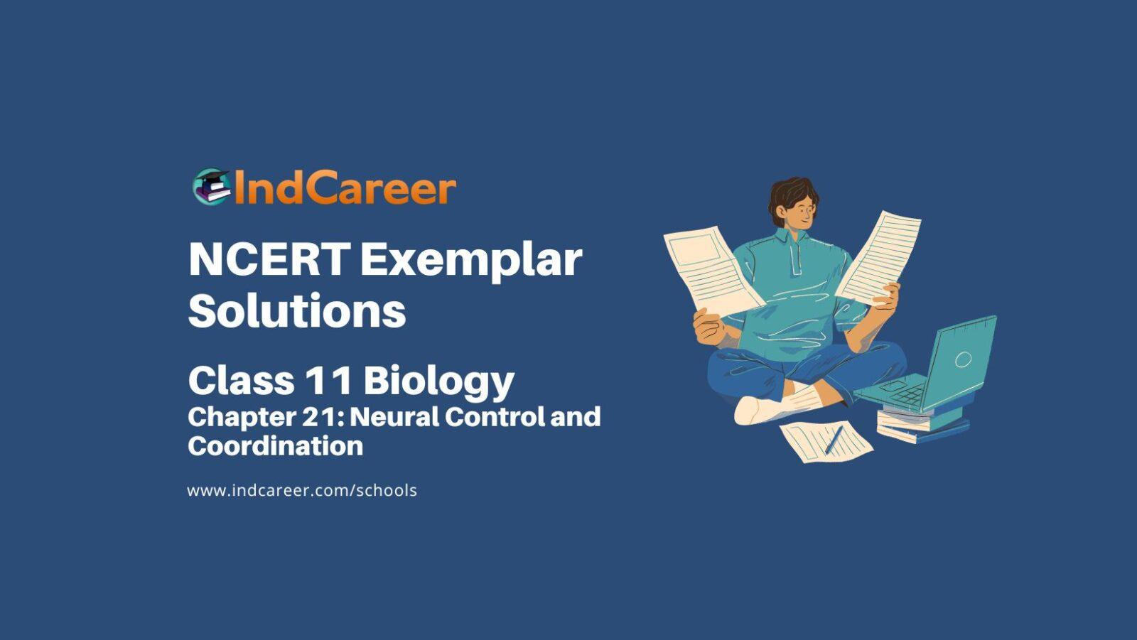 NCERT Exemplar Class 11 Biology Chapter 21: Neural Control and Coordination