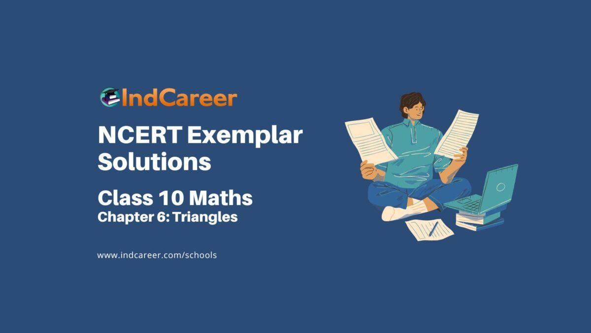 NCERT Exemplar Class 10 Maths Chapter 6: Triangles