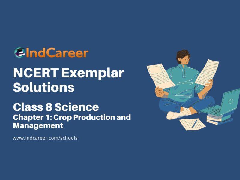 NCERT Exemplar Class 8 Science Chapter 1: Crop Production and Management