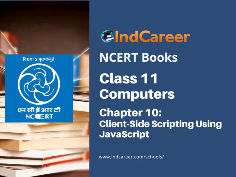 NCERT Book for Class 11 Computers Chapter 10 Client-Side Scripting Using JavaScript