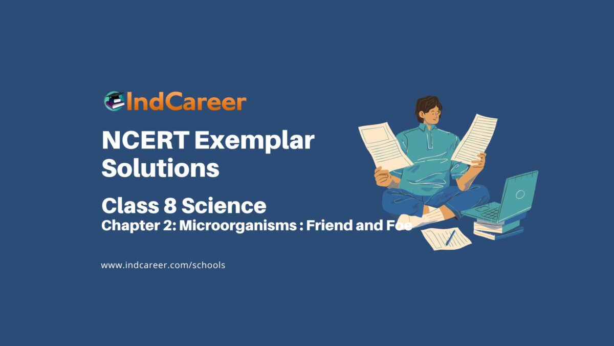 NCERT Exemplar Class 8 Science Chapter 2: Microorganisms : Friend and Foe