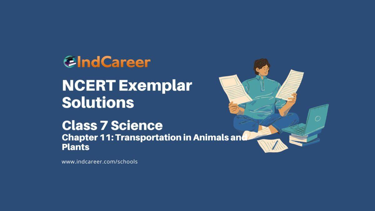 NCERT Exemplar Class 7 Science Chapter 11: Transportation in Animals and Plants