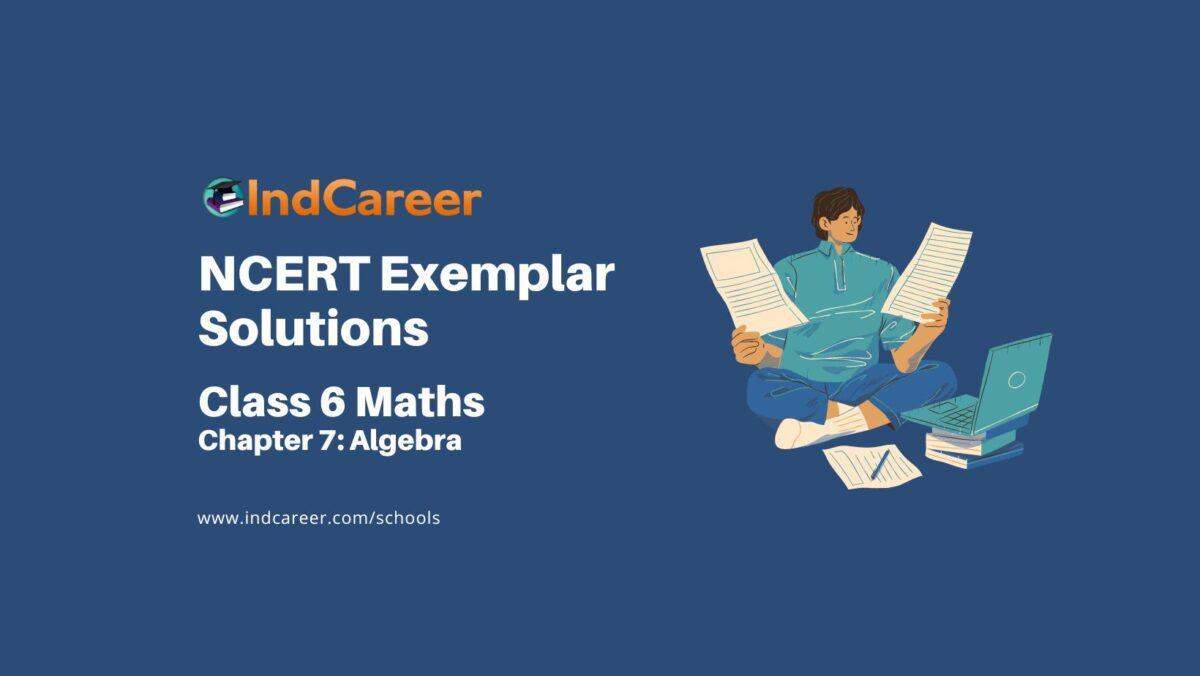 NCERT Exemplar Class 6 Maths Chapter 7: Algebra