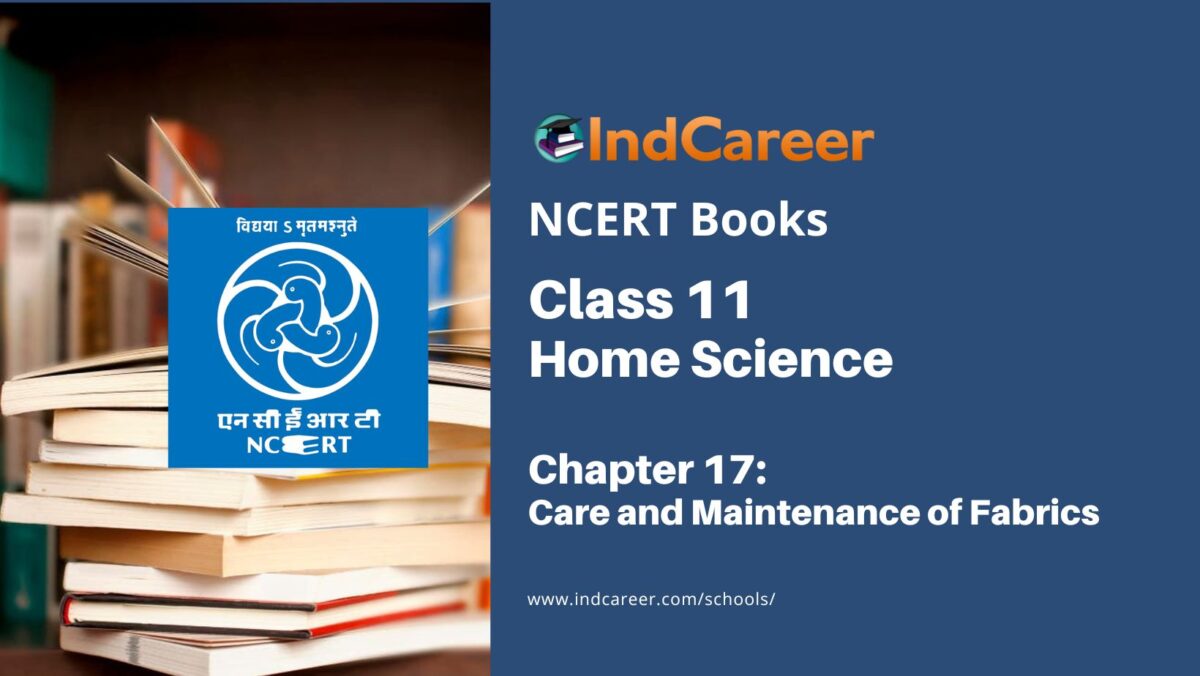 NCERT Book for Class 11 Home Science Chapter 17 Care and Maintenance of Fabrics