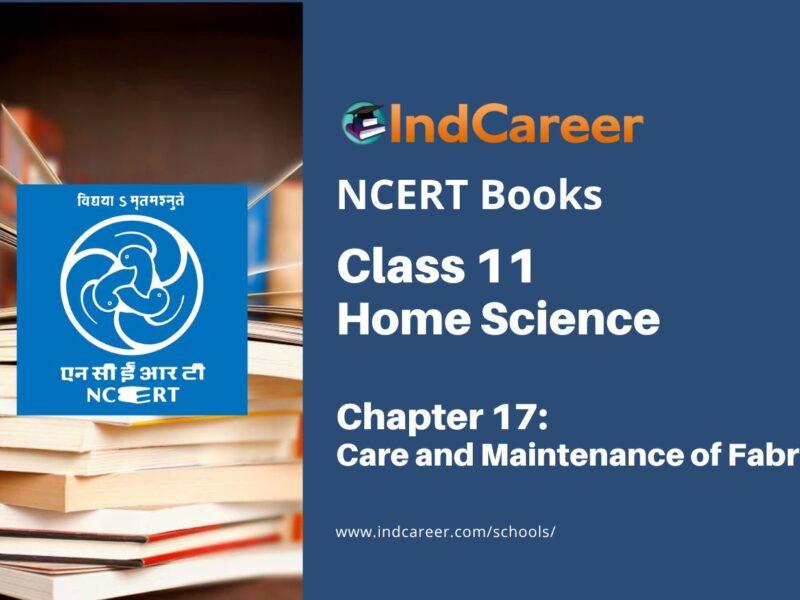 NCERT Book for Class 11 Home Science Chapter 17 Care and Maintenance of Fabrics