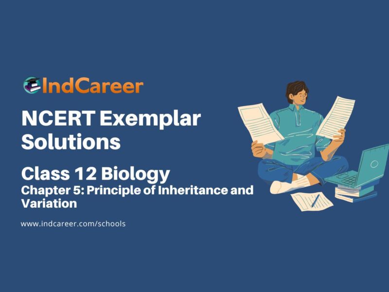 NCERT Exemplar Class 12 Biology Chapter 5: Principle of Inheritance and Variation