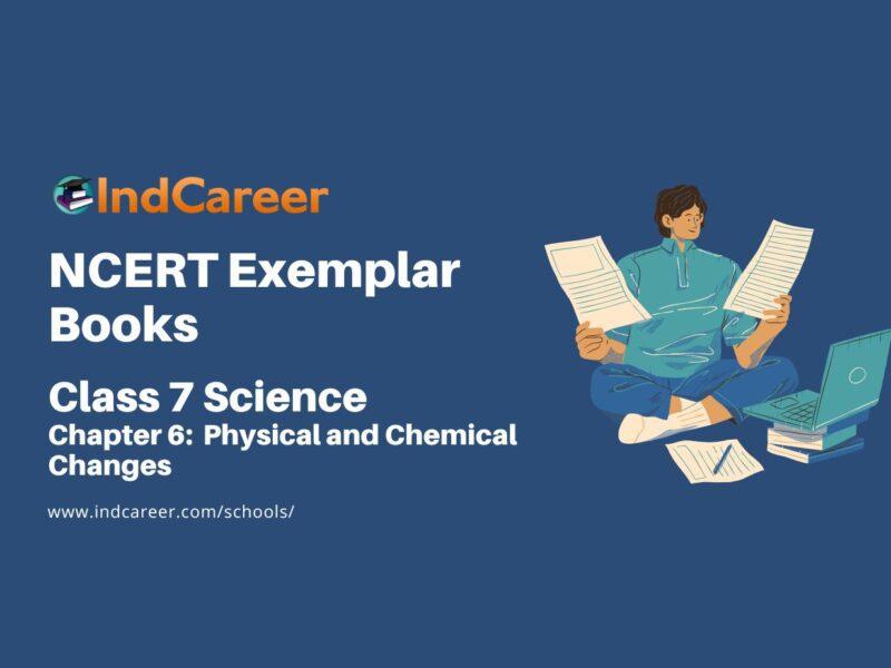 NCERT Exemplar Book for Class 7 Science: Chapter 6-Physical and Chemical Changes