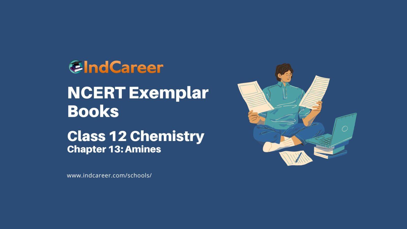 NCERT Exemplar Book for Class 12 Chemistry: Chapter 13 Amines