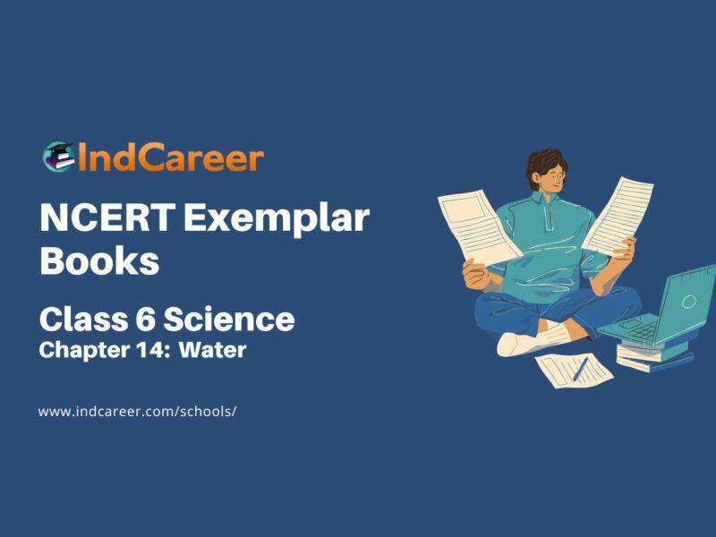 NCERT Exemplar Book for Class 6 Science: Chapter 14-Water