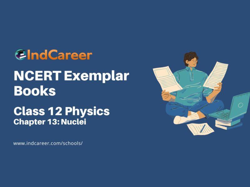 NCERT Exemplar Book for Class 12 Physics: Chapter 13 Nuclei