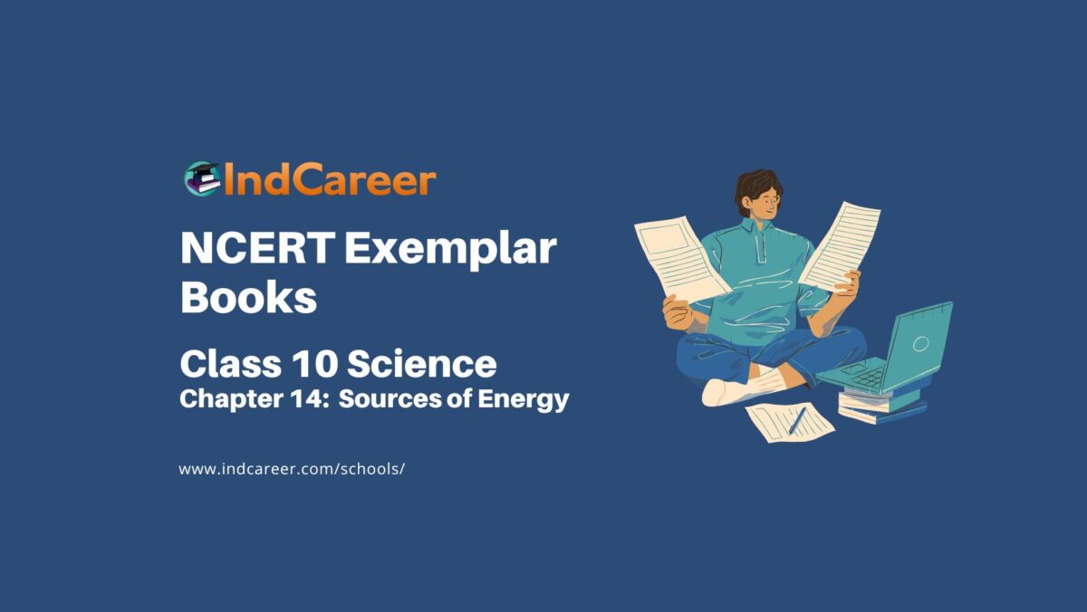NCERT Exemplar Book for Class 10 Science: Chapter 14 Sources of Energy