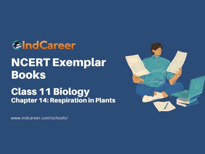 NCERT Exemplar Book for Class 11 Biology: Chapter 14 Respiration in Plants