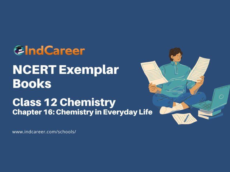 NCERT Exemplar Book for Class 12 Chemistry: Chapter 16 Chemistry in Everyday Life