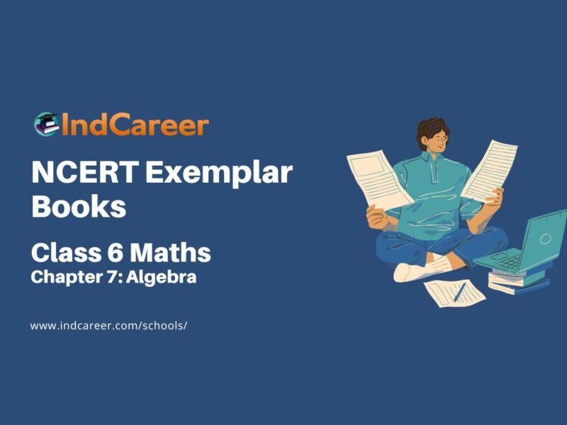 NCERT Exemplar Book for Class 6 Maths: Chapter 7-Algebra