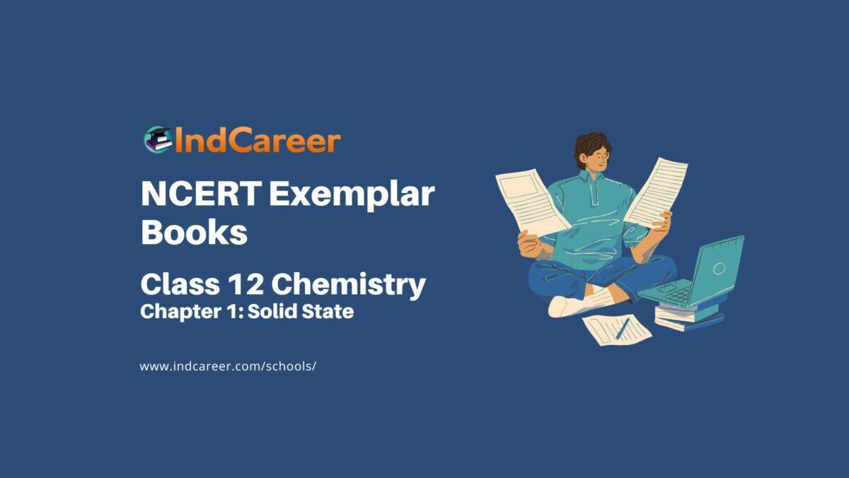 NCERT Exemplar Book for Class 12 Chemistry: Chapter 1 Solid State