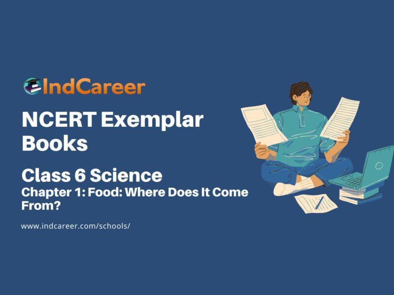 NCERT Exemplar Book for Class 6 Science: Chapter 1-Food: Where Does It Come From?