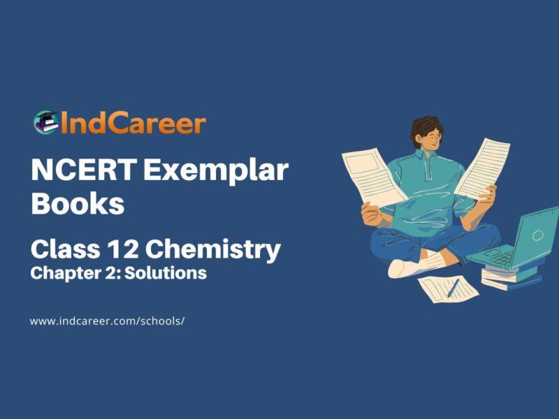 NCERT Exemplar Book for Class 12 Chemistry: Chapter 2 Solutions