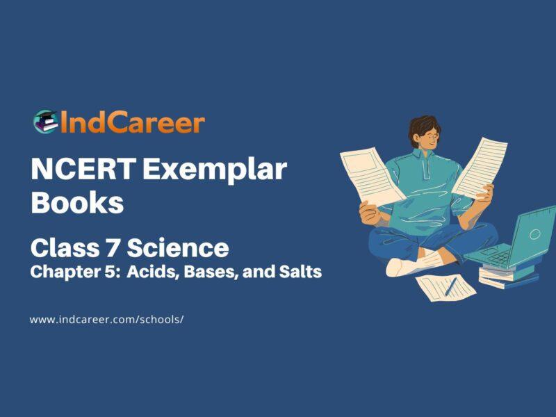 NCERT Exemplar Book for Class 7 Science: Chapter 5-Acids, Bases, and Salts