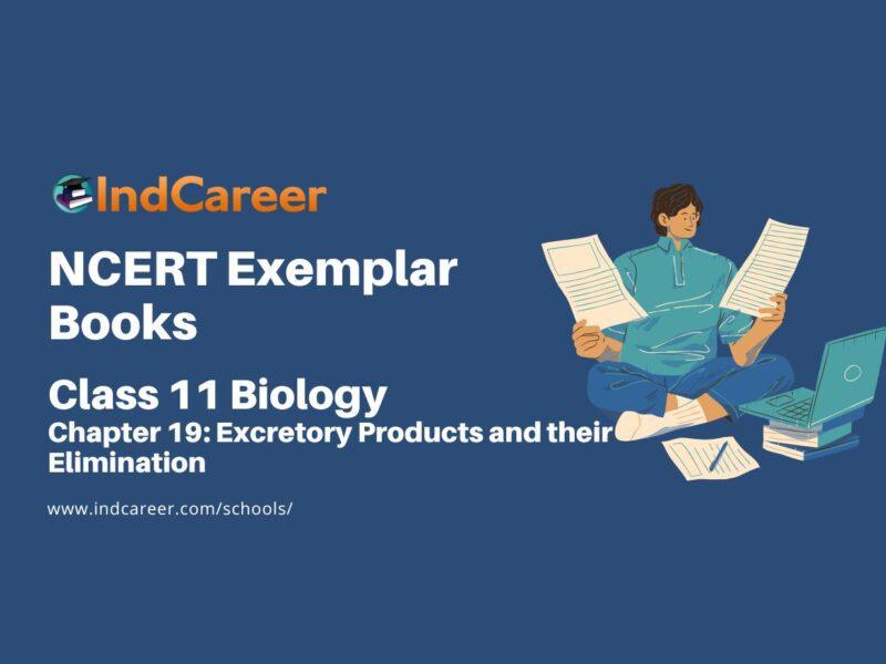 NCERT Exemplar Book for Class 11 Biology: Chapter 19 Excretory Products and their Elimination
