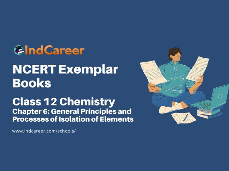NCERT Exemplar Book for Class 12 Chemistry: Chapter 6 General Principles and Processes of Isolation of Elements