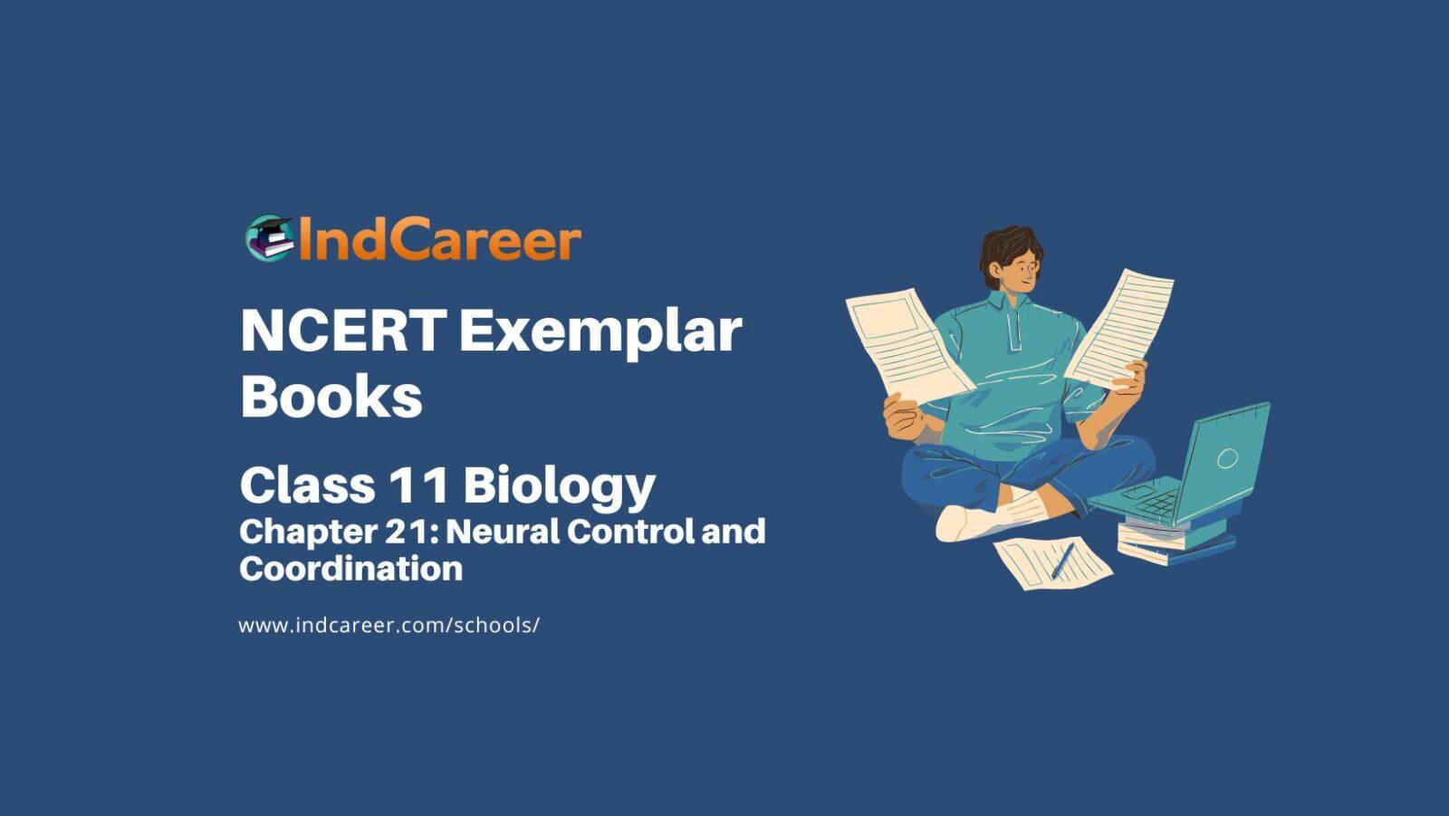 NCERT Exemplar Book for Class 11 Biology: Chapter 21 Neural Control and Coordination