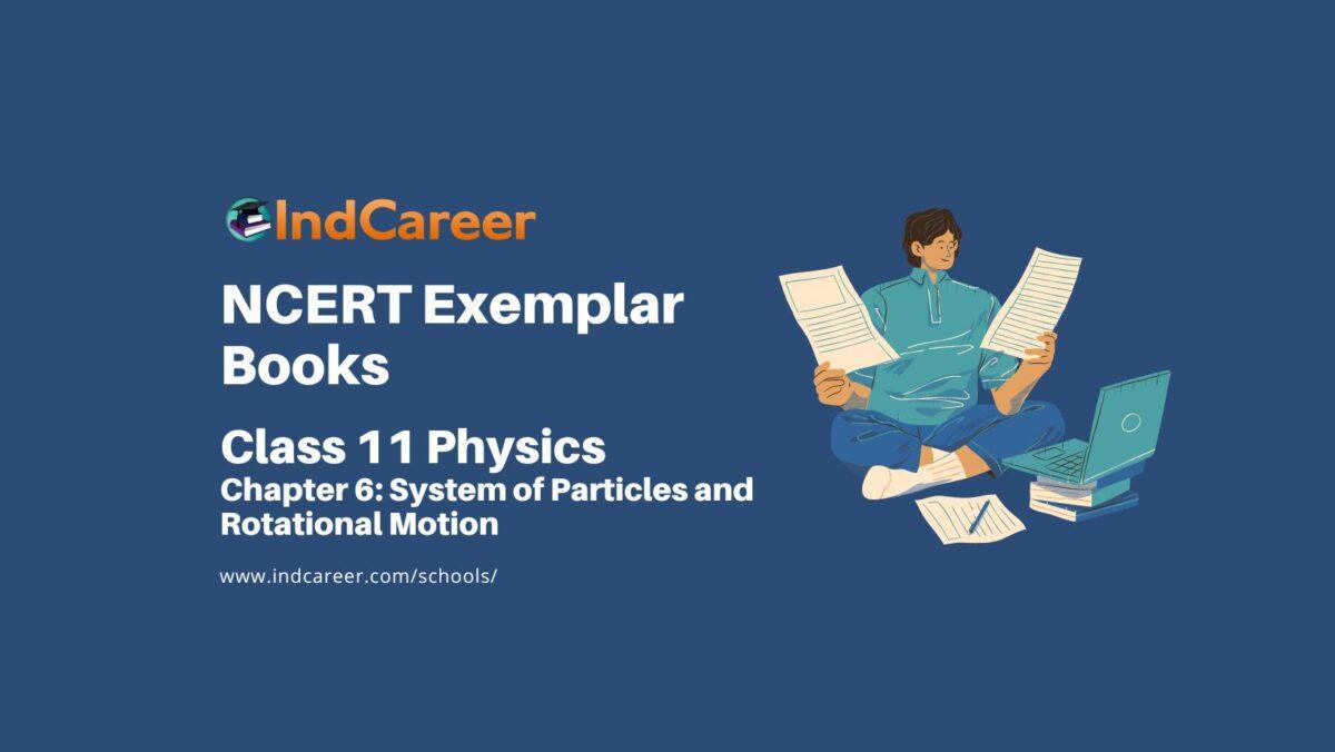 NCERT Exemplar Book for Class 11 Physics: Chapter 6 System of Particles and Rotational Motion