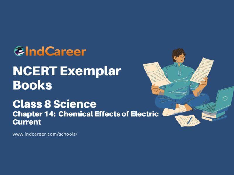 NCERT Exemplar Book for Class 8 Science: Chapter 14- Chemical Effects of Electric Current