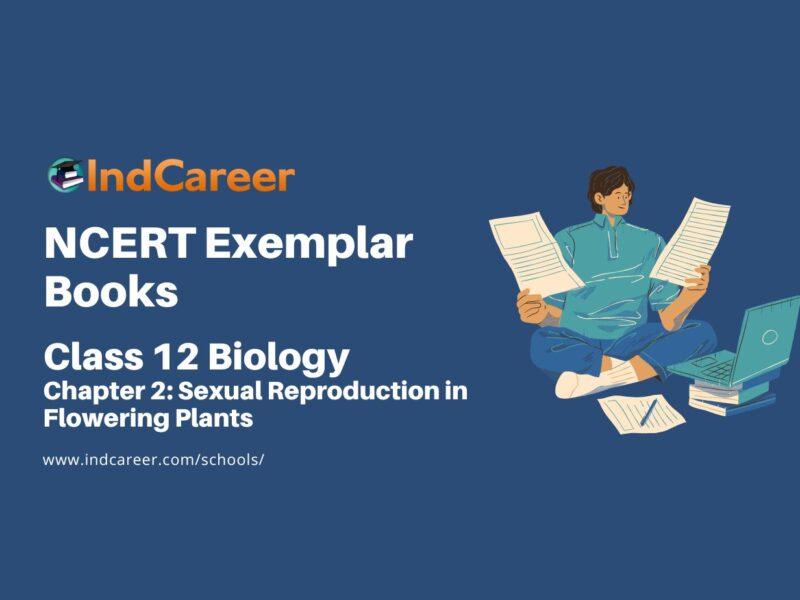 NCERT Exemplar Book for Class 12 Biology: Chapter 2 Sexual Reproduction in Flowering Plants