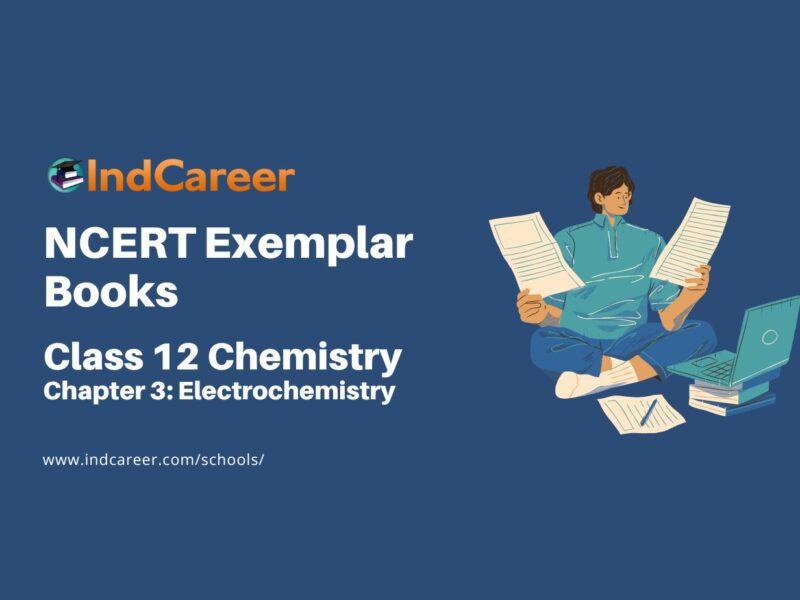 NCERT Exemplar Book for Class 12 Chemistry: Chapter 3 Electrochemistry