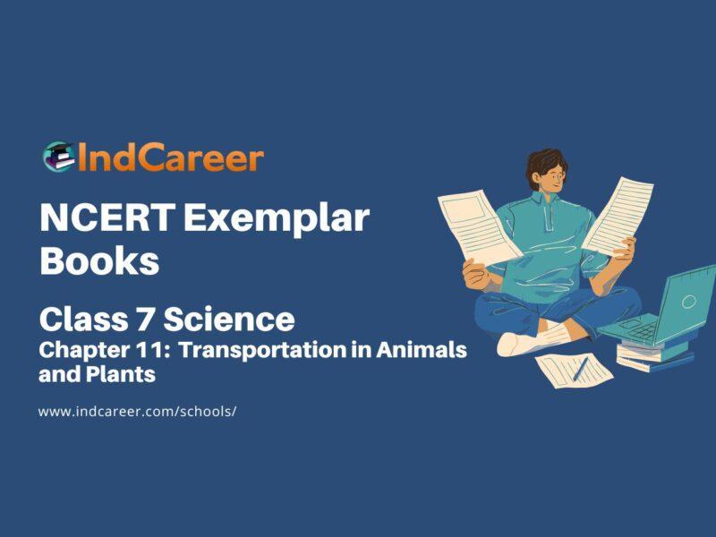 NCERT Exemplar Book for Class 7 Science: Chapter 11-Transportation in Animals and Plants