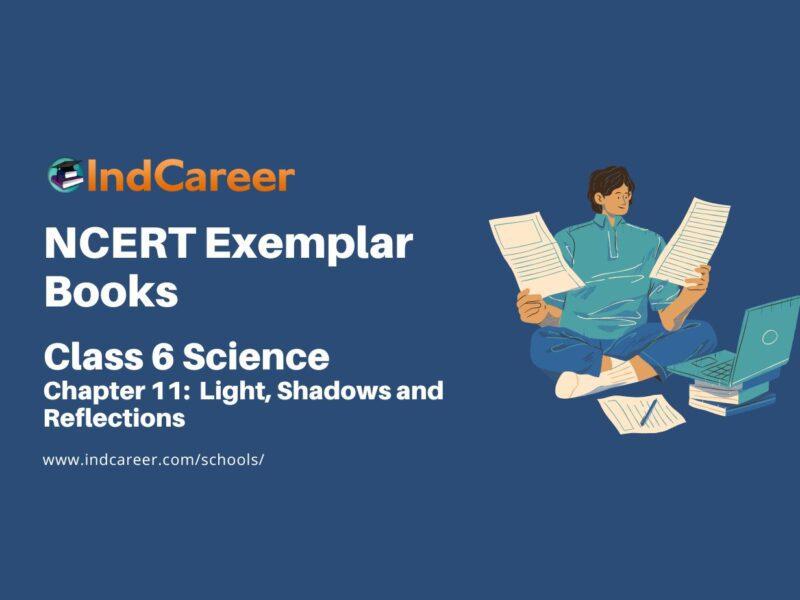 NCERT Exemplar Book for Class 6 Science: Chapter 11-Light, Shadows and Reflections