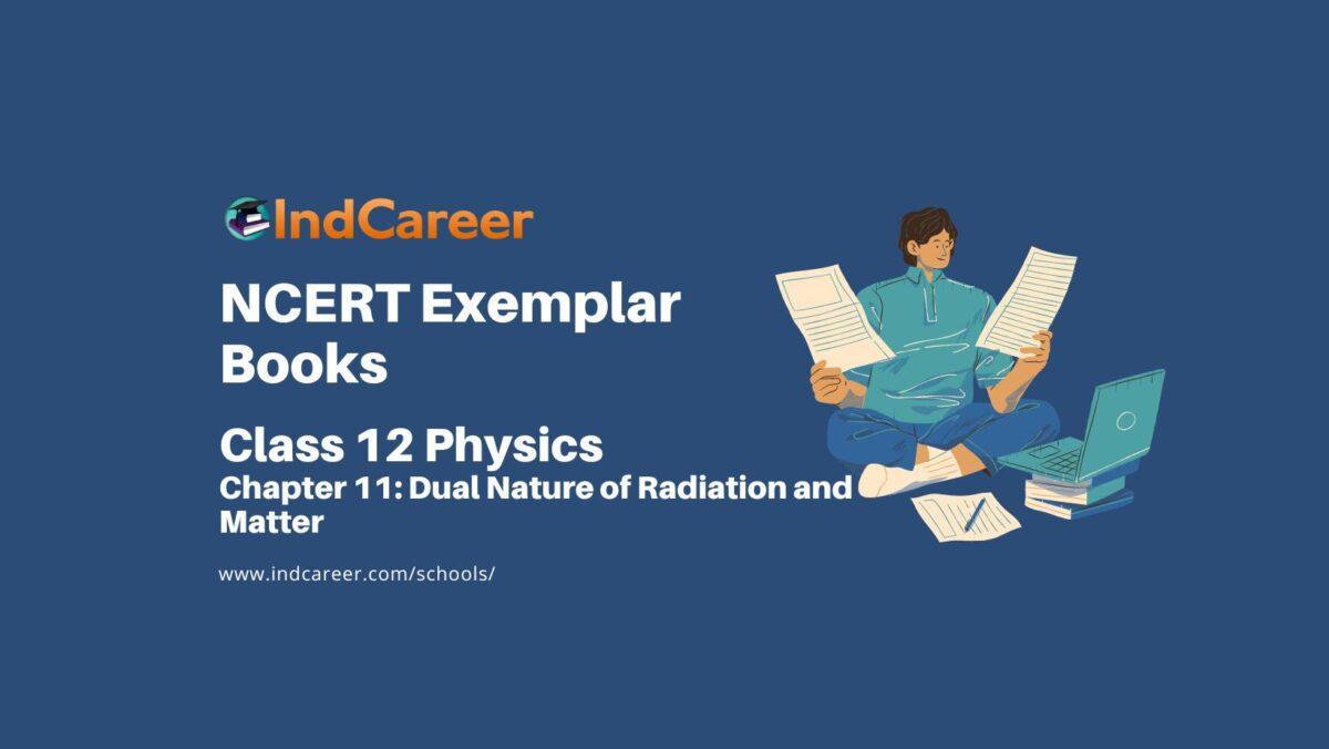 NCERT Exemplar Book for Class 12 Physics: Chapter 11 Dual Nature of Radiation and Matter