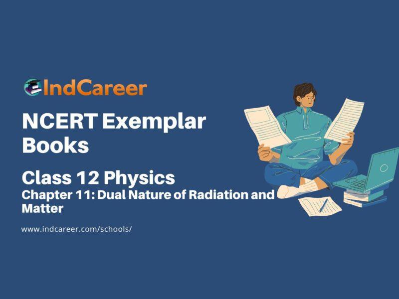 NCERT Exemplar Book for Class 12 Physics: Chapter 11 Dual Nature of Radiation and Matter