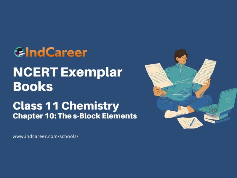 NCERT Exemplar Book for Class 11 Chemistry: Chapter 10 The s-Block Elements