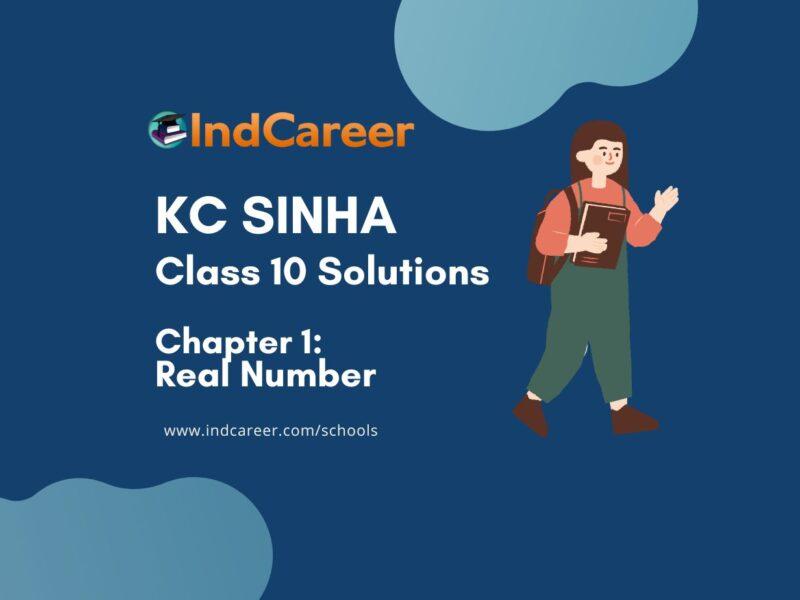 KC Sinha: Exercise 1.1 - Mathematics Solution Class 10 Chapter 1 Real numbers