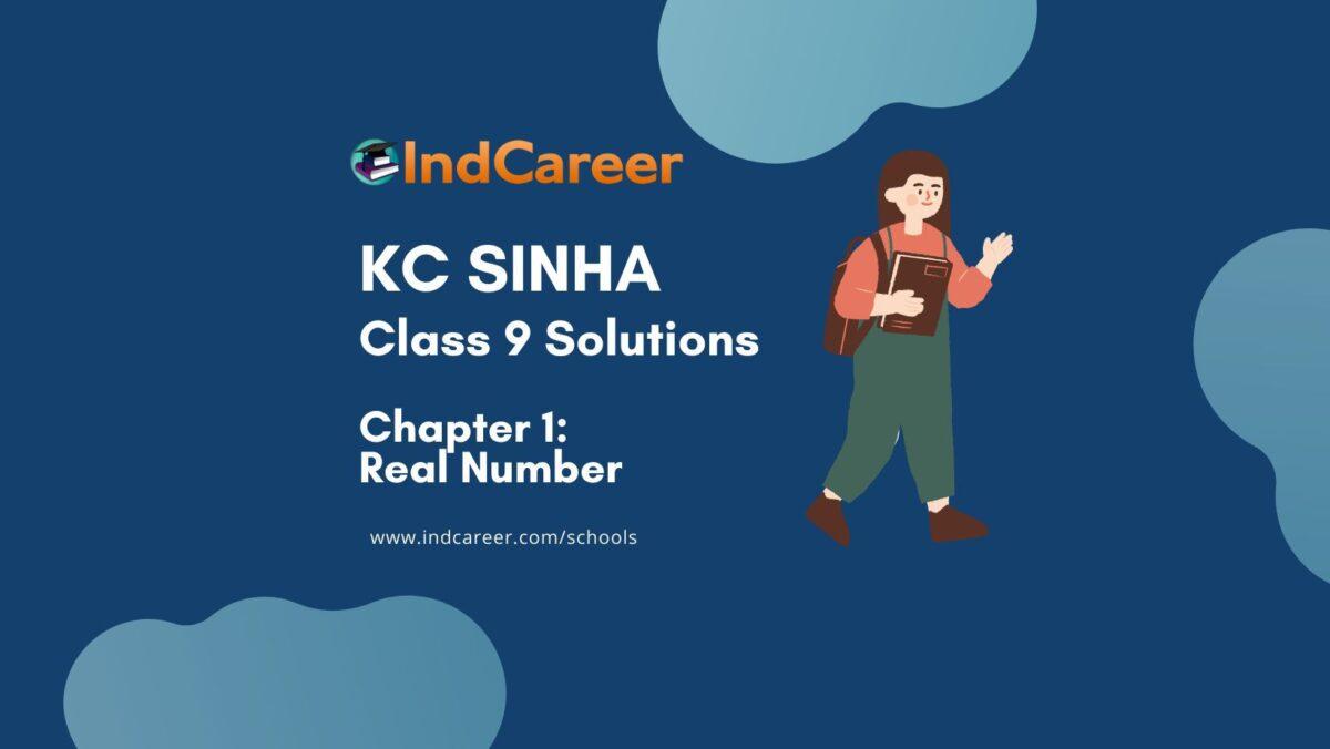 KC Sinha: Exercise 1.1 - Mathematics Solution Class 9 Chapter 1 Real numbers