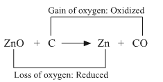 Lakhmir Singh Biology Class 10 Solutions Model Test Paper 1 2