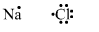 Lakhmir Singh Biology Class 10 Solutions Model Test Paper 1 3