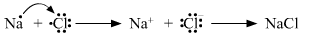 Lakhmir Singh Biology Class 10 Solutions Model Test Paper 1 4