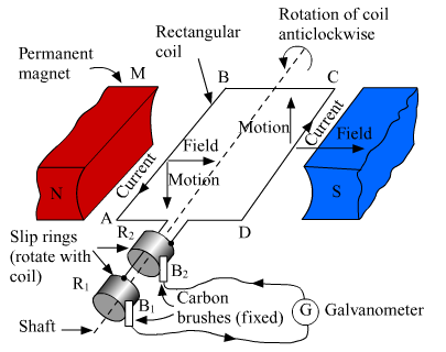 Lakhmir Singh Biology Class 10 Solutions Model Test Paper 2 8