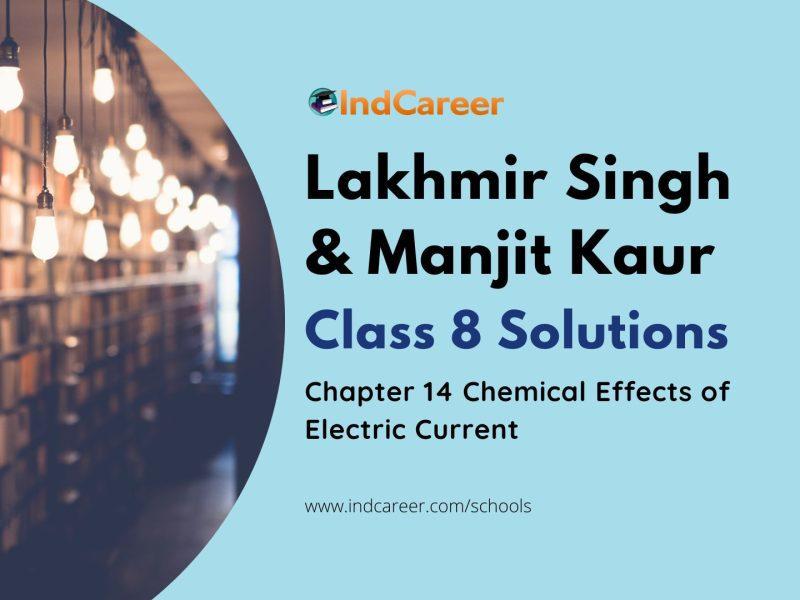 Lakhmir Singh Manjit Kaur Solutions for Class 8 Science: Chapter 14- Chemical Effects of Electric Current