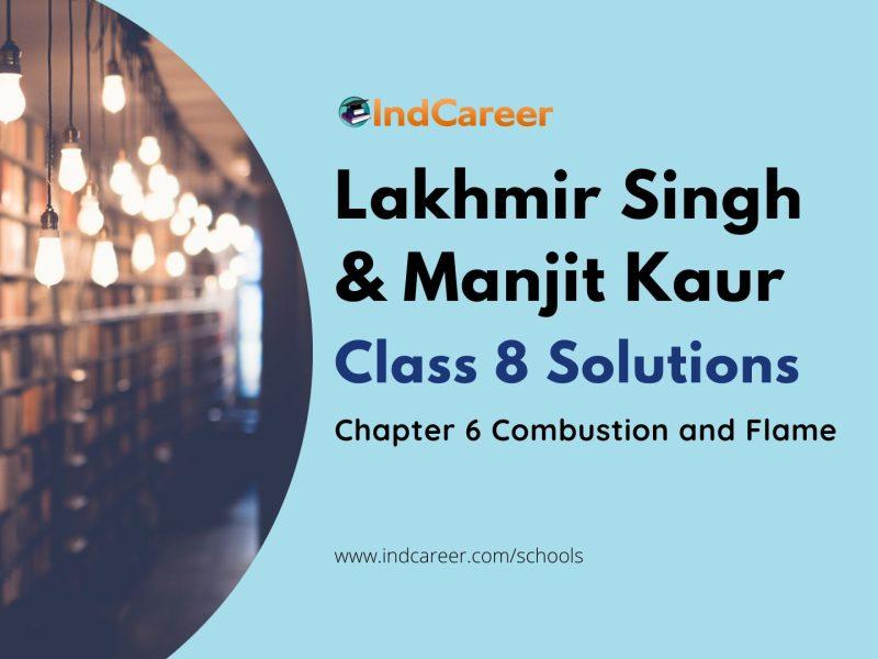 Lakhmir Singh Manjit Kaur Solutions for Class 8 Science: Chapter 6- Combustion and Flame