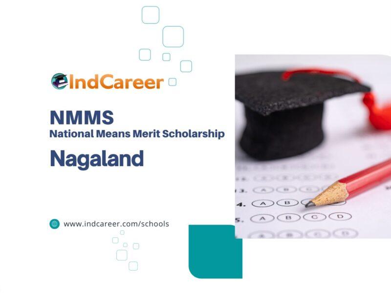 Nagaland NMMS