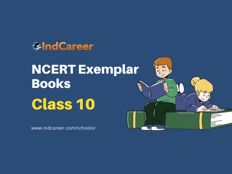NCERT Exemplar Books for Class 10: A Comprehensive Guide